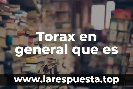 Torax en general que es