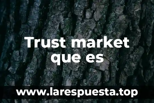 Que es bull market brokers 5 Trust market que es