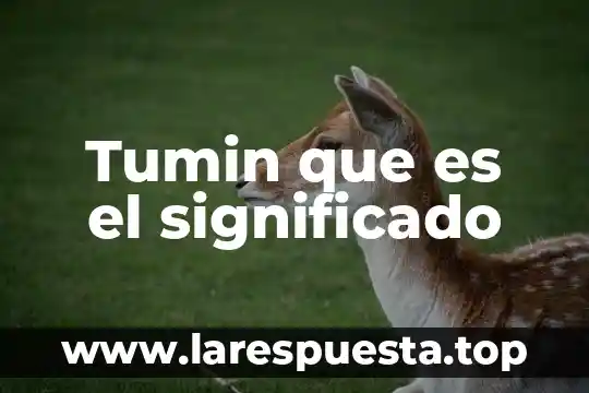 Tumin que es el significado