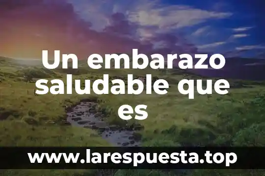 Que es un lunch saludable 5 Un embarazo saludable que es