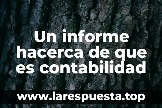 Un informe hacerca de que es contabilidad