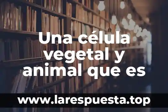 Una célula vegetal y animal que es