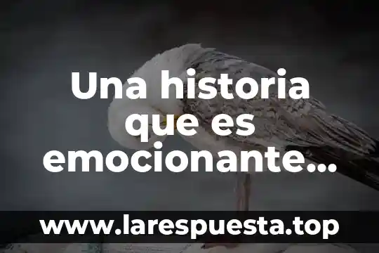 Que es un encuadre en la historia 4 Una historia que es emocionante para los lectores