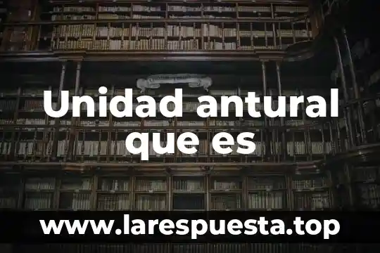 Que es unidad estadistica 4 Unidad antural que es