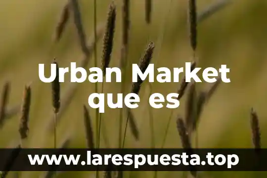 Que es bull market brokers 7 Urban Market que es