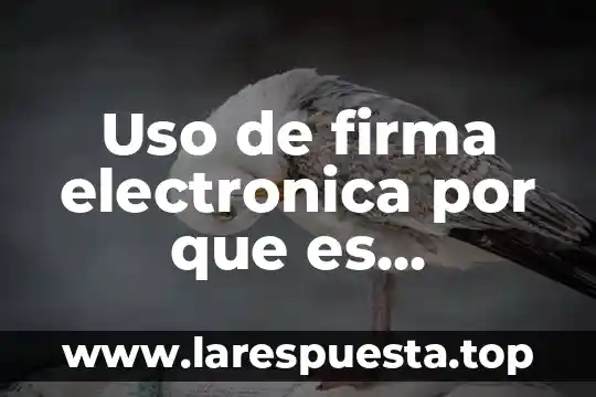 Que es la firma para los contratos 3 Uso de firma electronica por que es vulnerable su uso