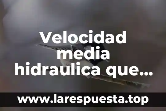 Qué es la energía hidráulica definición 7 Velocidad media hidraulica que es