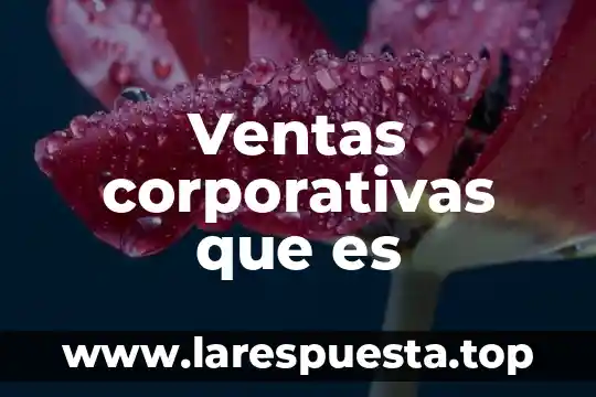 Multicanal en ventas que es 7 Ventas corporativas que es