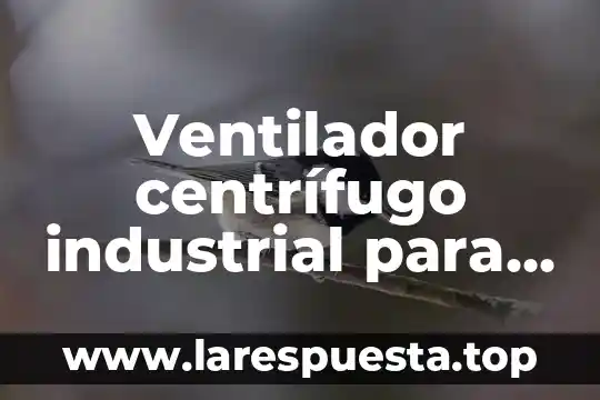 Qué es la iee en un ventilador mecánico 3 Ventilador centrífugo industrial para qué es