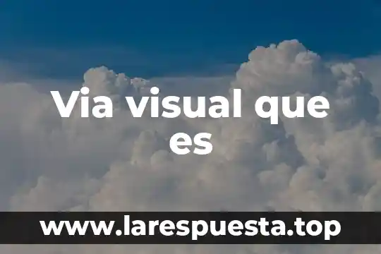 Via visual que es