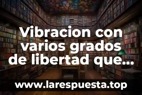 Vibracion con varios grados de libertad que es