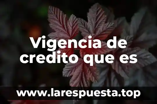Vigencia de credito que es
