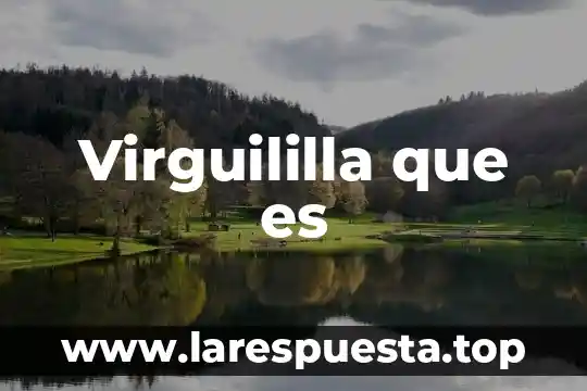Virguililla que es