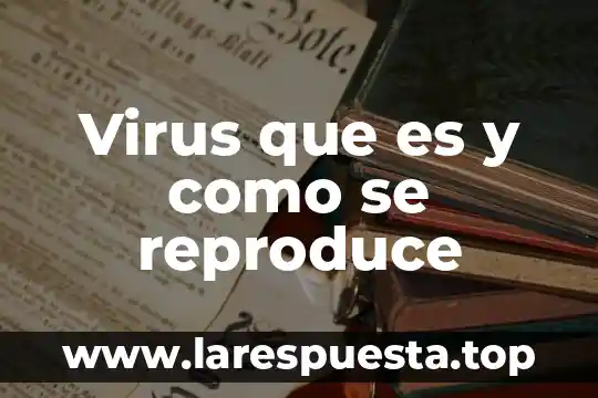 Virus que es y como se reproduce