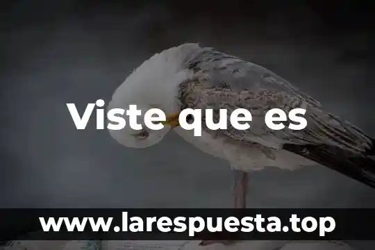 Que es rectificador monofásico controlado de onda completa 5 Viste que es