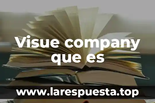 Visue company que es