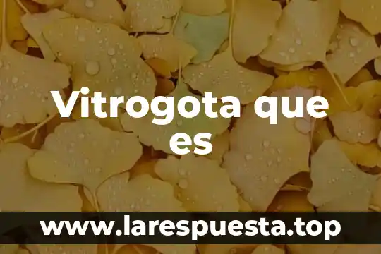 Viñetas que es 7 Vitrogota que es