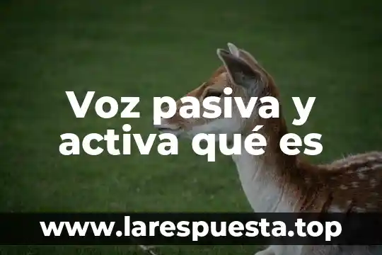 Que es la voz pasiva en una noticia yahoo 4 Voz pasiva y activa qué es