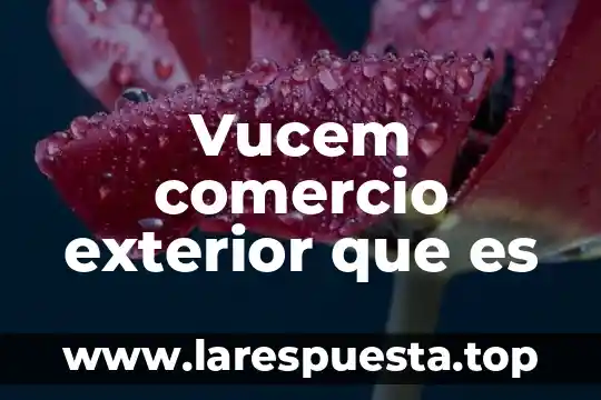Que es cc en comercio exterior 5 Vucem comercio exterior que es