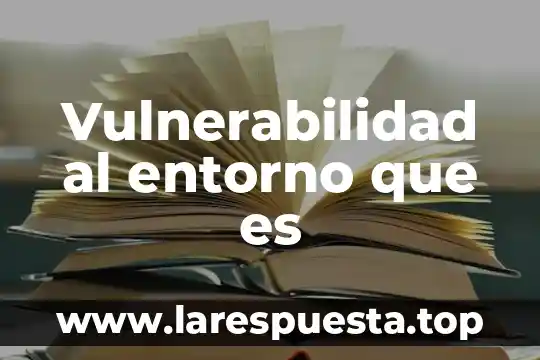 Que es la etica en mi entorno 8 Vulnerabilidad al entorno que es