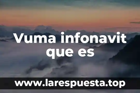 Vuma infonavit que es