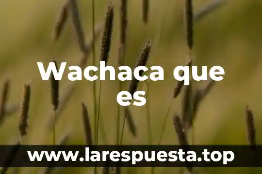 Que es una persona mas simple 8 Wachaca que es