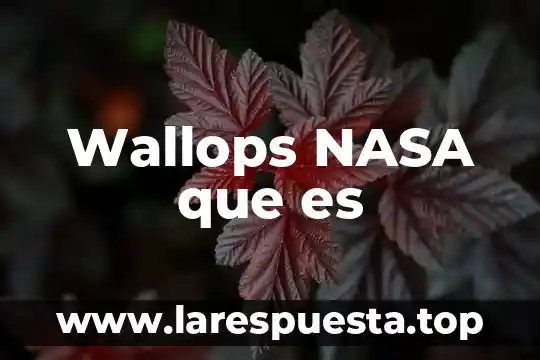 Wallops NASA que es