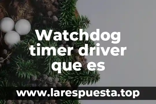 Watchdog timer driver que es