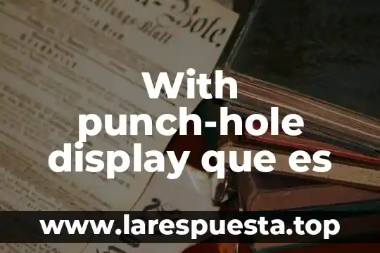 Que es el display de una computadora portatil 3 With punch-hole display que es