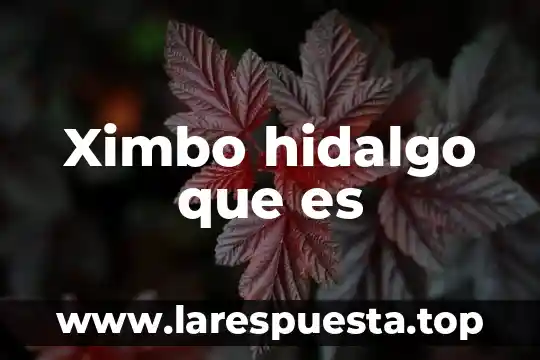 Que es un derecho real unam 3 Ximbo hidalgo que es