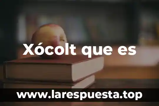 Xócolt que es