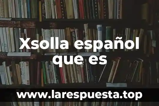 Xsolla español que es