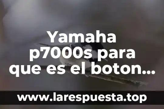 Que es un boton o button en informatica 3 Yamaha p7000s para que es el boton paralelo