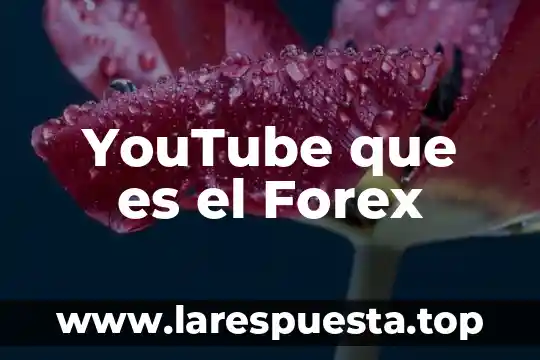 YouTube que es el Forex