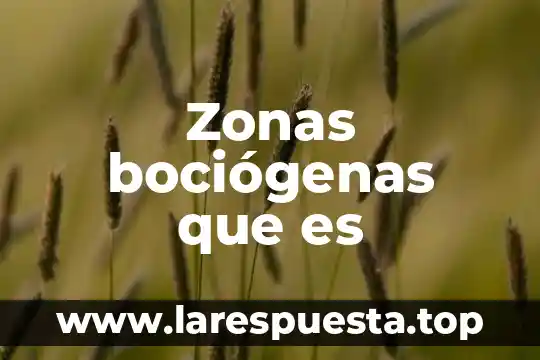 Que es el estudio meteorológico de zonas 5 Zonas bociógenas que es